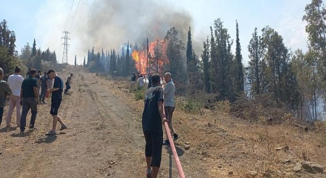 Bornova’daki yangına müdahale ediliyor