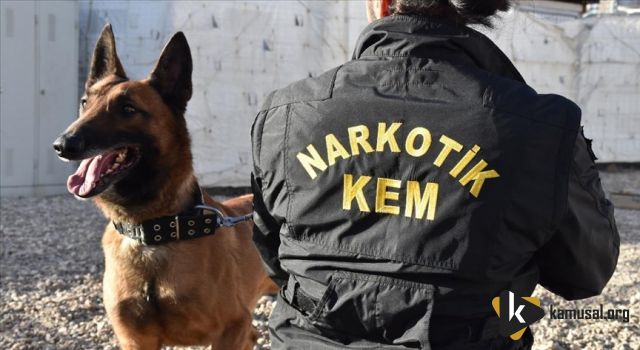 Dedektör Köpekler Polisin En Büyük Destekçisi Oldu