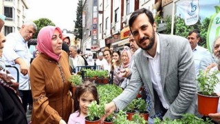 Bağcılar’ı fesleğen kokusu sardı