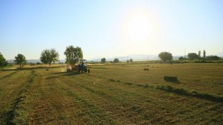 Muğla Büyükşehirden Üreticiye Ücretsiz Hayvan Yemi